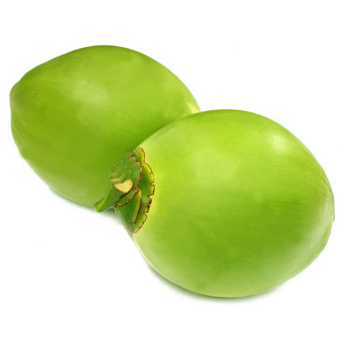 coconut fruit