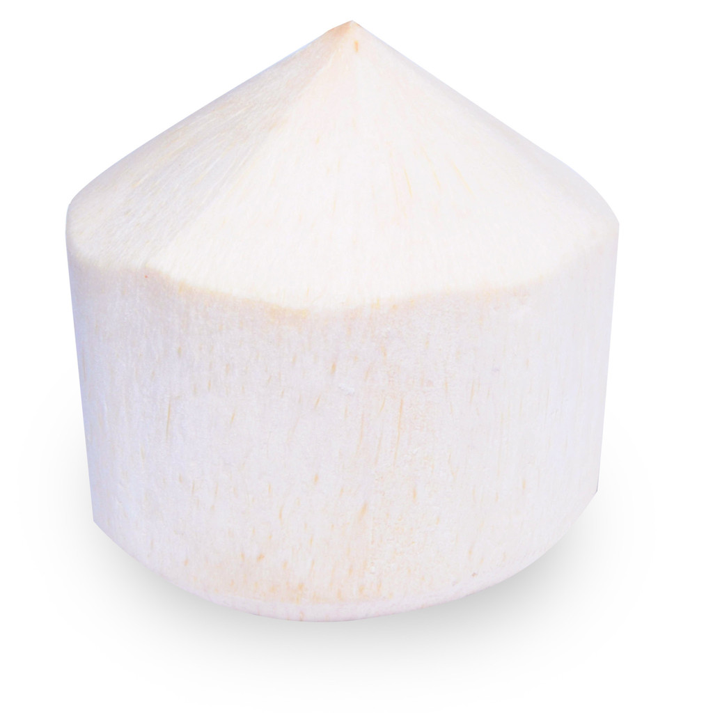 coconut fruit