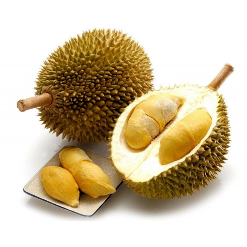durian fruit