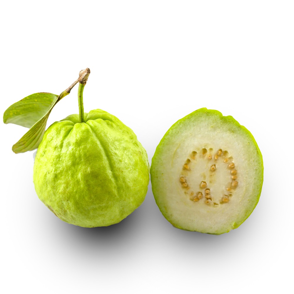 guava fruit