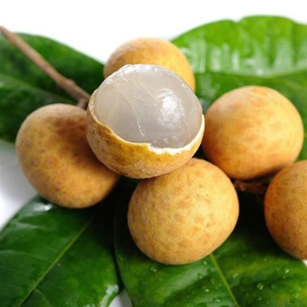 longan fruit