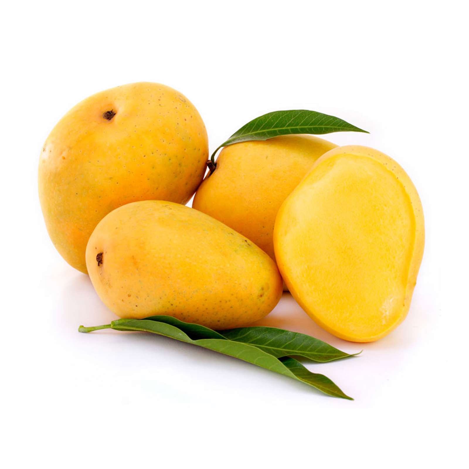 mango fruit
