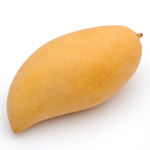 mango fruit