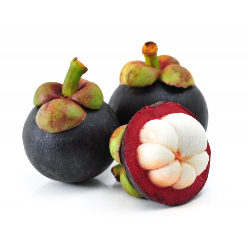 mangosteen fruit