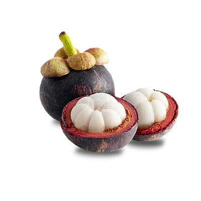 mangosteen fruit