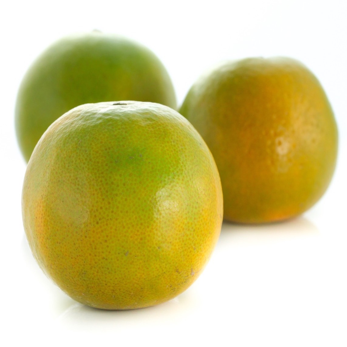 orange fruit