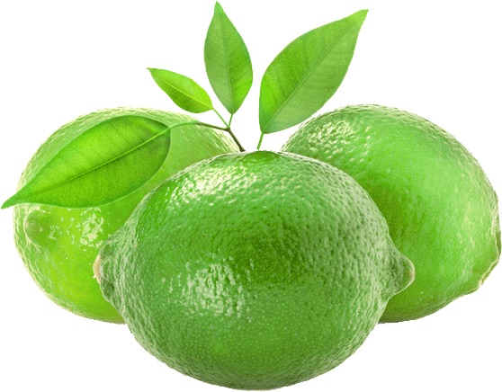 seedless lime fruit