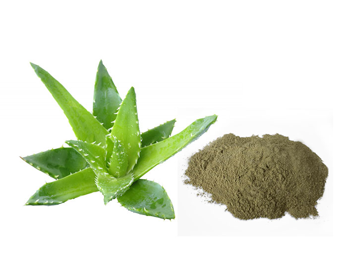Aloe Vera Powder