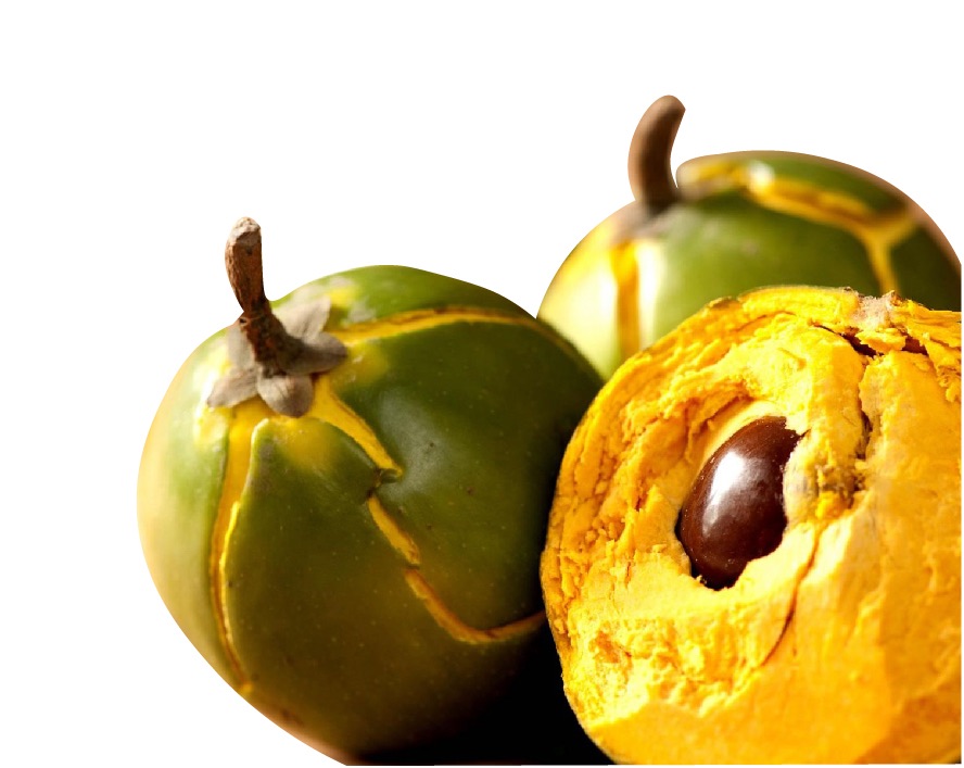 lucuma powder