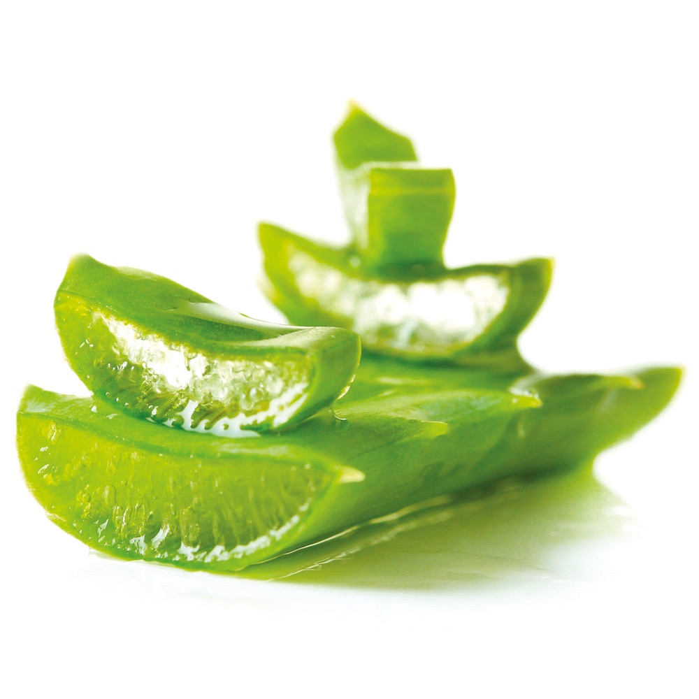 vegetable_seo_alt