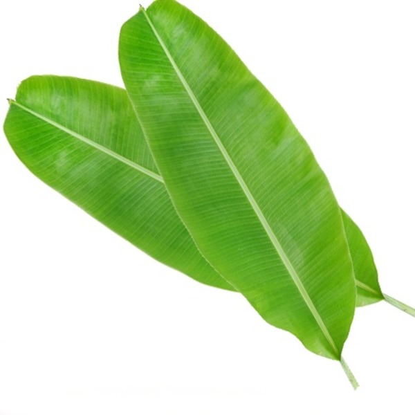 vegetable_seo_alt