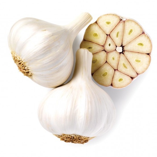 garlic vegetable