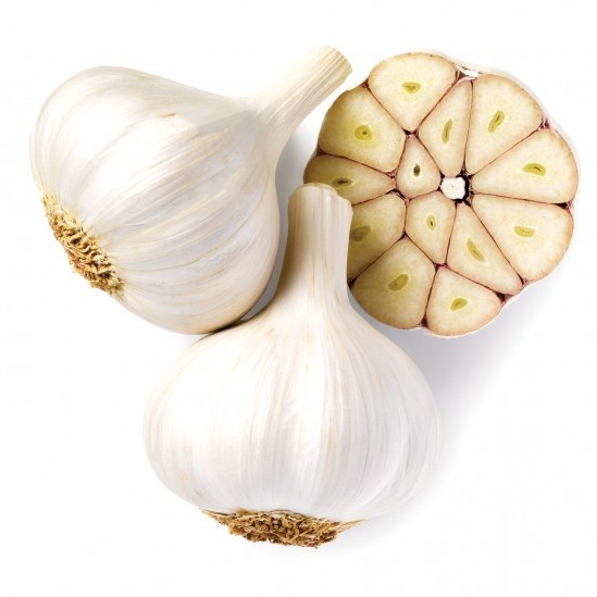 vegetable_seo_alt