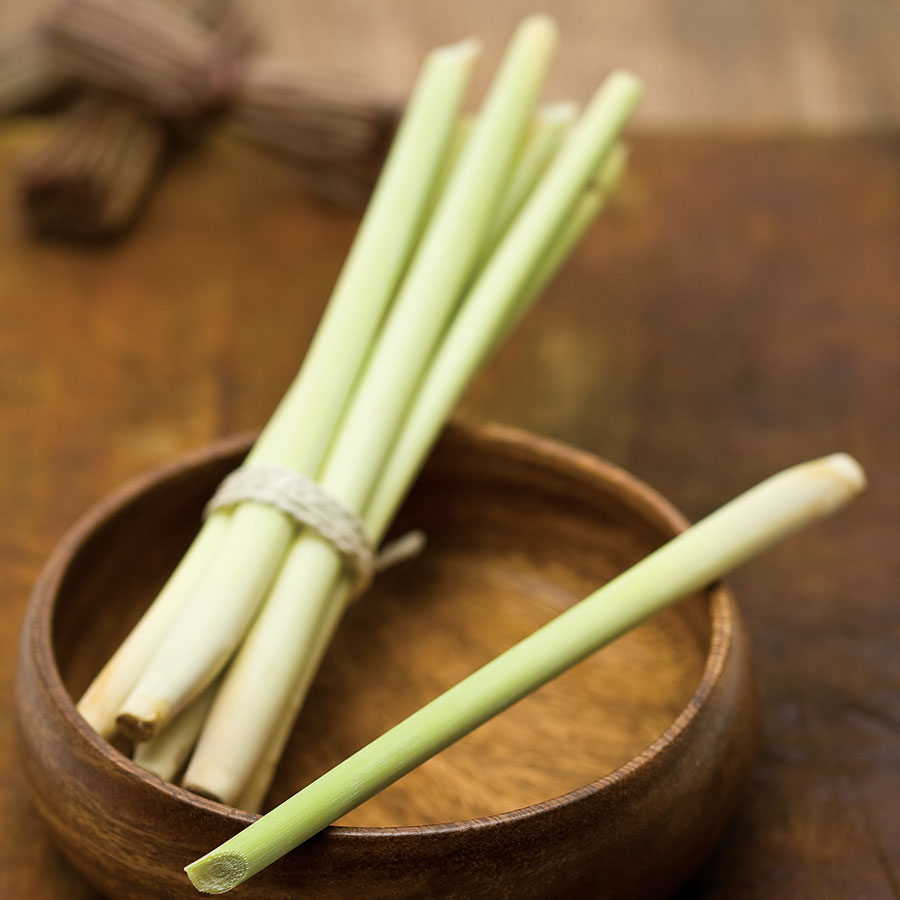 vegetable_seo_alt