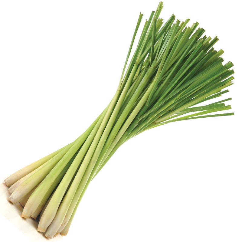 vegetable_seo_alt