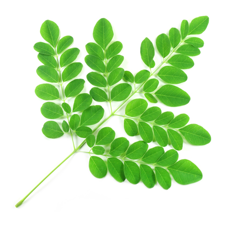 vegetable_seo_alt
