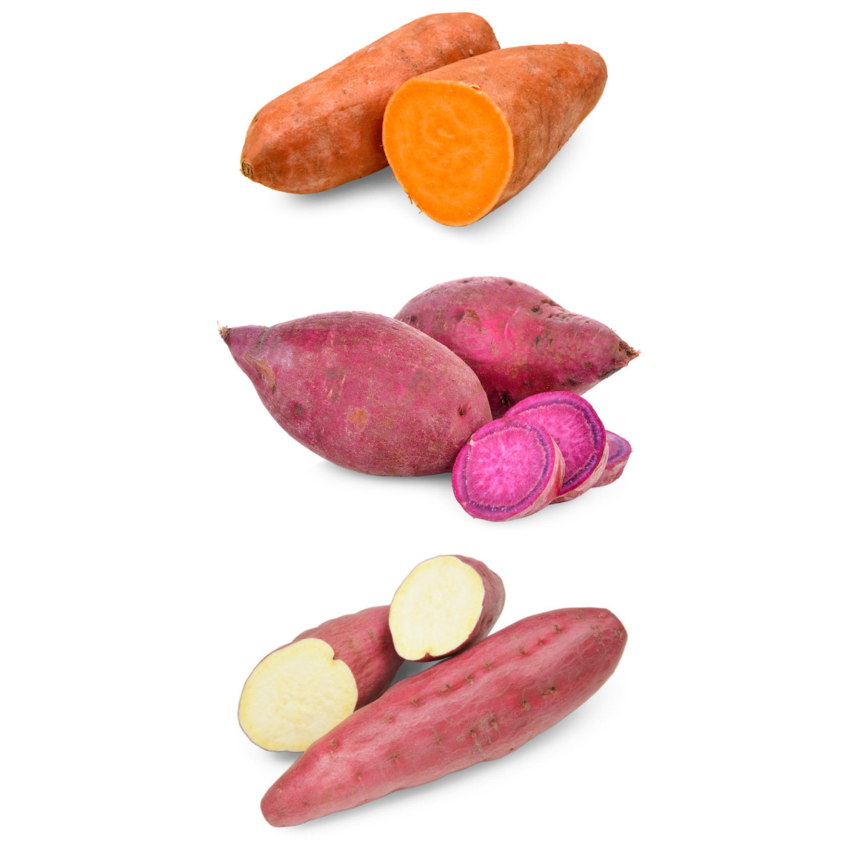 vegetable_seo_alt